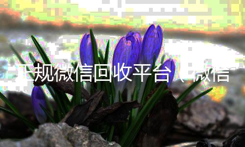 正规微信回收平24小时收vx秒结台（微信回收平台联系方式）